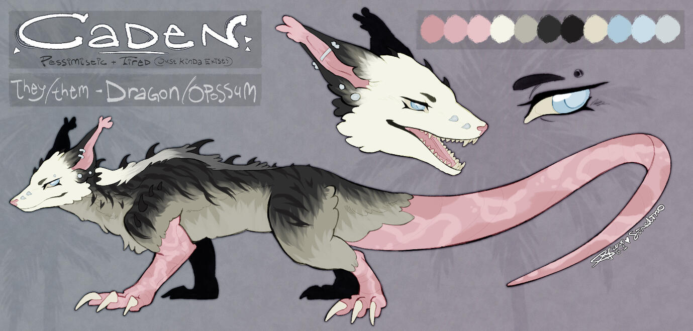 reference sheet - 34$