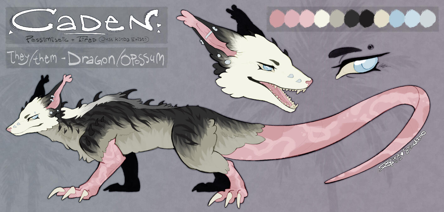 reference sheet - 40$