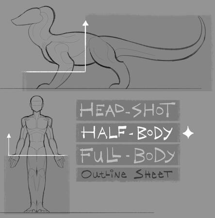 halfbody parameters