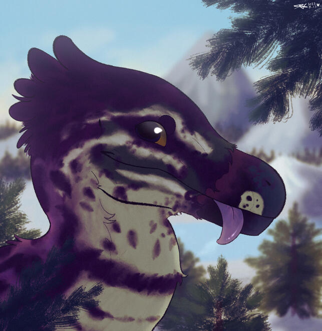 headshot + background - 22$